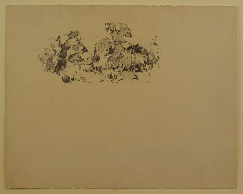 1938 - Panorama di Orvieto (studio di foglie)